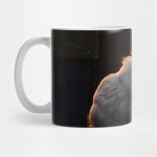 Persian cat / Swiss Artwork Photography Mug